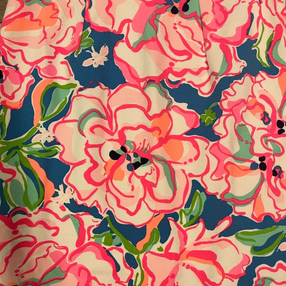Lilly Pulitzer Lucky Charms Juliana Dress, Sz S - Picture 4 of 4